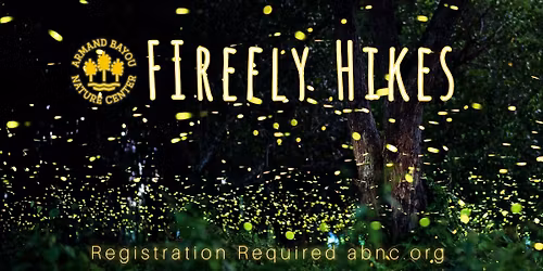 Firefly Hikes