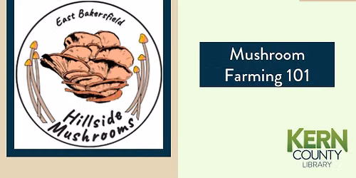 Mushroom Farming 101
