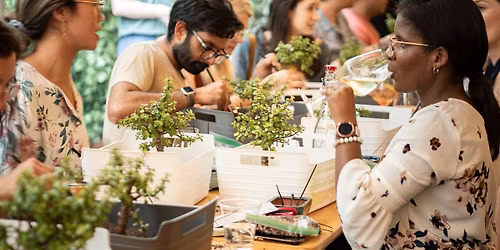 Bonsai Bar Workshop at Bay 13 Brewery & Kitchen