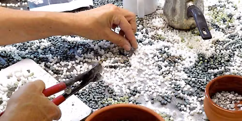 Mosaics: A Haptic Art