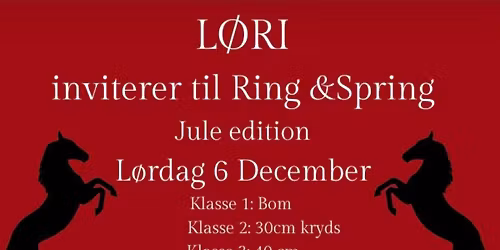 Jule ring og spring