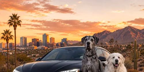 Big Dogs, Nice Cars and AC!