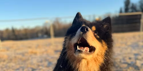 Treningsgruppe | Tema: sirkeltrening | Poverud g\u00e5rd | Poverud Poter