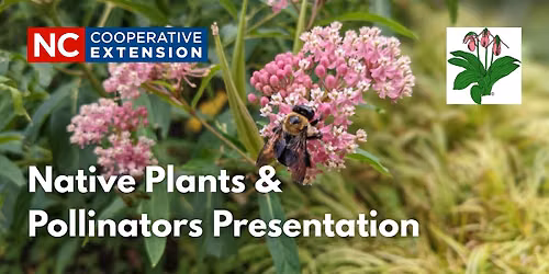 Native Plants & Pollinators Presentation
