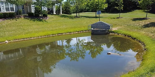 Retention Pond Drowning Prevention