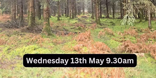 Heyshott & The Roughs Circular - 3 mile walk Wed 13th May 9.30am