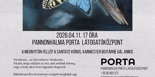 Hildebrand \u00c9va \u201eA m\u00e1gusra v\u00e1rva\u201d c\u00edm\u0171 festm\u00e9nyki\u00e1ll\u00edt\u00e1s