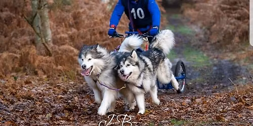 AMWA Rally Haughley Park