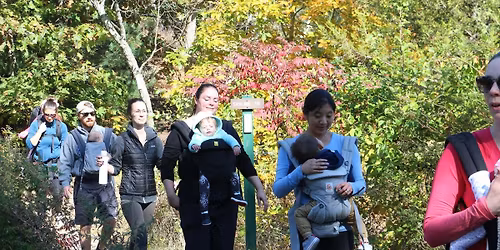Babes in the Woods Hike