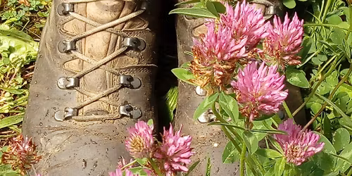 Rando d\u00e9couverte autour de Vielsalm