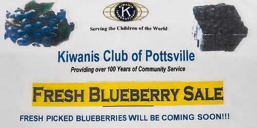 Pottsville Kiwanis Blueberry Sale Pick-Up \ud83e\uded0