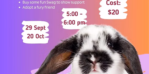 Bunny Yoga w\/OAHS