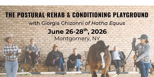The Postural Rehab & Conditioning Playground with Giorgia Ghizzoni of Hatha Equus International