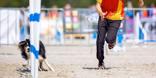 Parcours- & Sequenztraining mit Jordi Boix Bar\u00f3