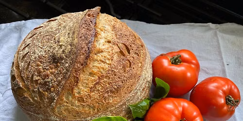 Tomato Sandwich Festival