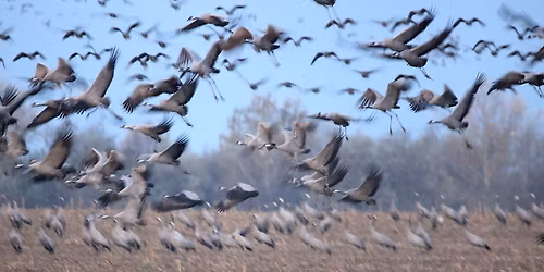 Darules a szegedi Feh\u00e9r-t\u00f3n\u00e1l - beh\u00faz\u00e1s d\u00e9l \u00e9s nyugat fel\u0151l 11.15.