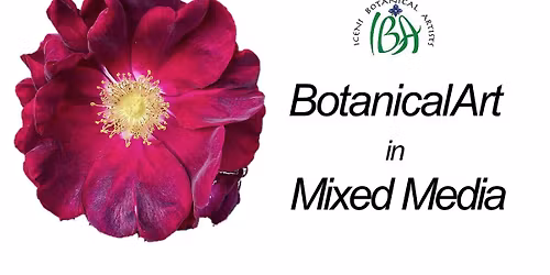 Botanical Illustration Workshop - Mixed Media