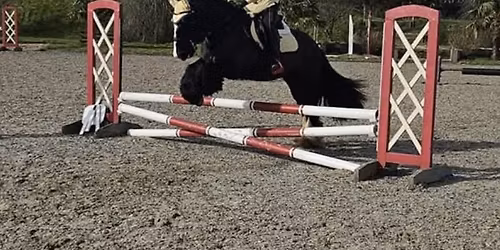 Arena Eventing Clinic Colraine 