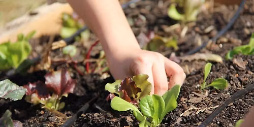 Spring BloomFest: Growing a Pesticide Free Garden Workshop 