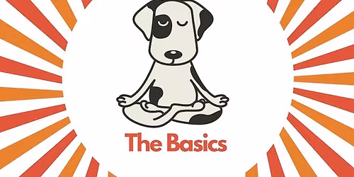 The Basics (at Mr. Pet's)