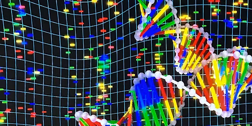 Healing Touch Course 3 Minneapolis - Advanced Healer Preparation