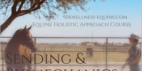 EHA Sending & Biomechanics of Gait