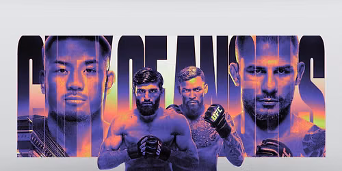 UFC 334 Tickets