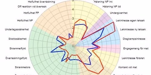 BPH-beskrivning