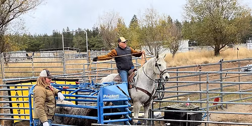 TEAM ROPING ROUND ROBIN JACKPOT Buckle series #9 FINALS!!