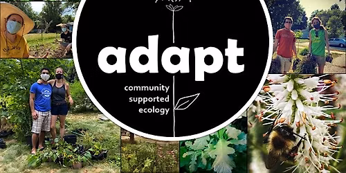 Adapt Community Supported Ecology: "Into the weeds: (some) invasive species