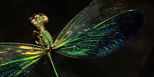 Spring Warehouse Sale! \ud83d\udd77\ufe0f