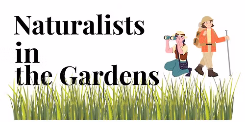 Bird Watching with Jane Anderson, A Naturalists in the Gardens Presentation