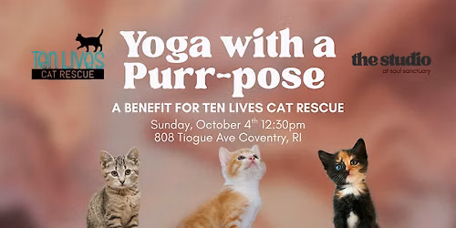 Yoga with Purr-Pose: A Benefit for Ten Lives Cat Rescue