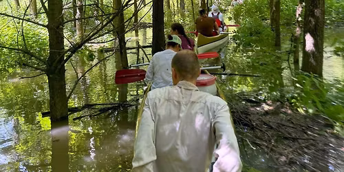 Z\u00f6ld \u00e1r v\u00edzit\u00fara Gemencen