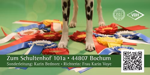 DVD Vereinssieger Ausstellung Bochum 