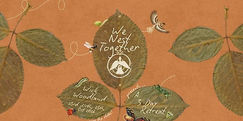 Nest Making at Wick Woodland