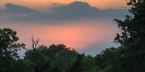 Celebrate Summer Solstice with a Wild DFW Photo Tour of North Texas! 