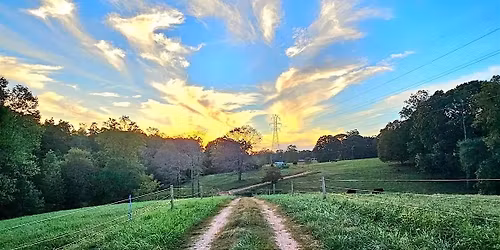 Soap making: eco-friendly dish soap bar (that works!)