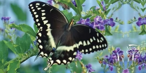 December Demo Garden Tour