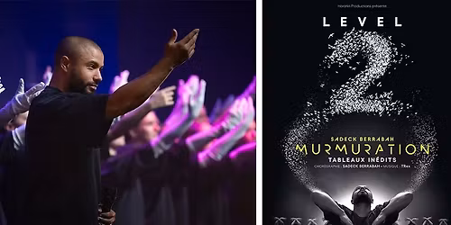 Murmuration level 2 \u2013 Danse contemporaine