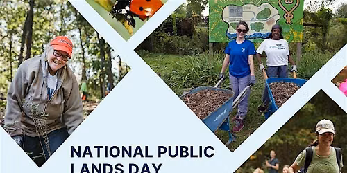 National Public Lands Day: Invasive Plant Removal by Canoe