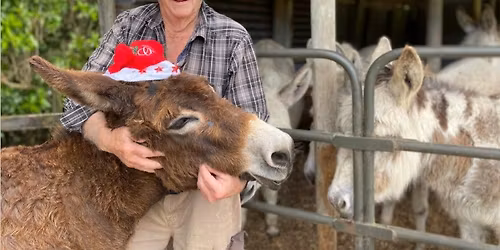 Highfield Donkey Santa Fun Day