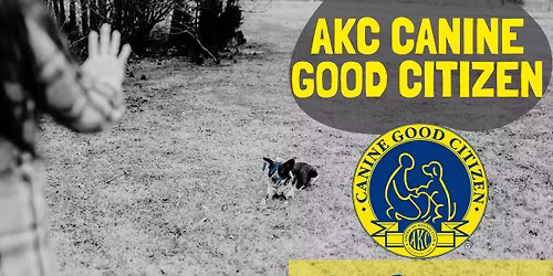 AKC Canine Good Citizen group class