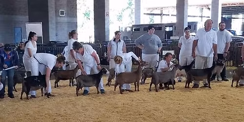 NWODGA June Show, June 5th, 6th, 7th 2026