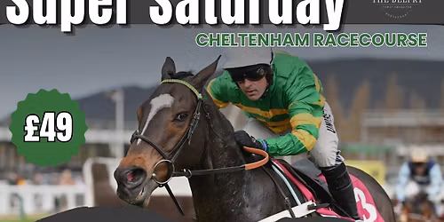 Super Saturday - Cheltenham Races!