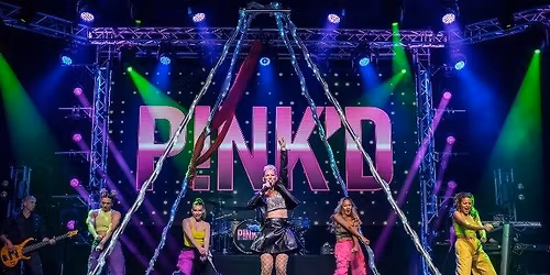 P!NK'D (A live PINK show experience!)