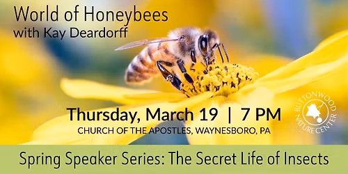 World of Honeybees - Buttonwood Spring Speaker Series