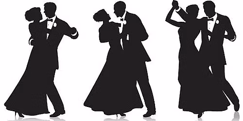 Module Valse Viennoise (3 cours)