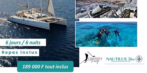\ud83d\udc0b CROISIERE PLONGEE LIFOU & WHALE WATCHING | Plong\u00e9e & baleines avec ODYSSEY Diving