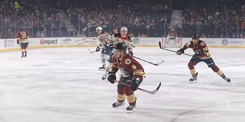 Chicago Wolves vs. Milwaukee Admirals